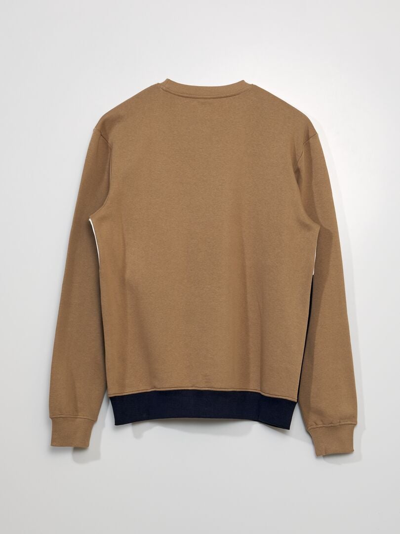 Sweatshirt met kleurblokken van fleece - BLAUW