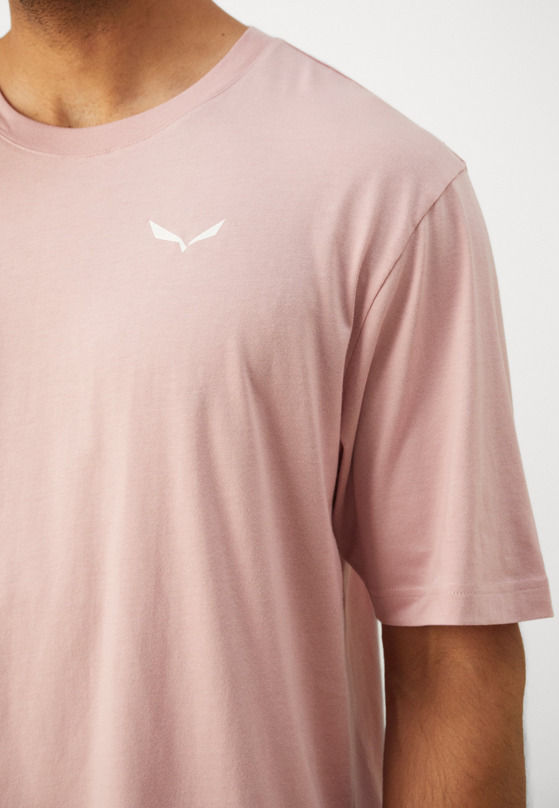 Salewa EAGLE GLACIER - T-shirt met print - zephyr