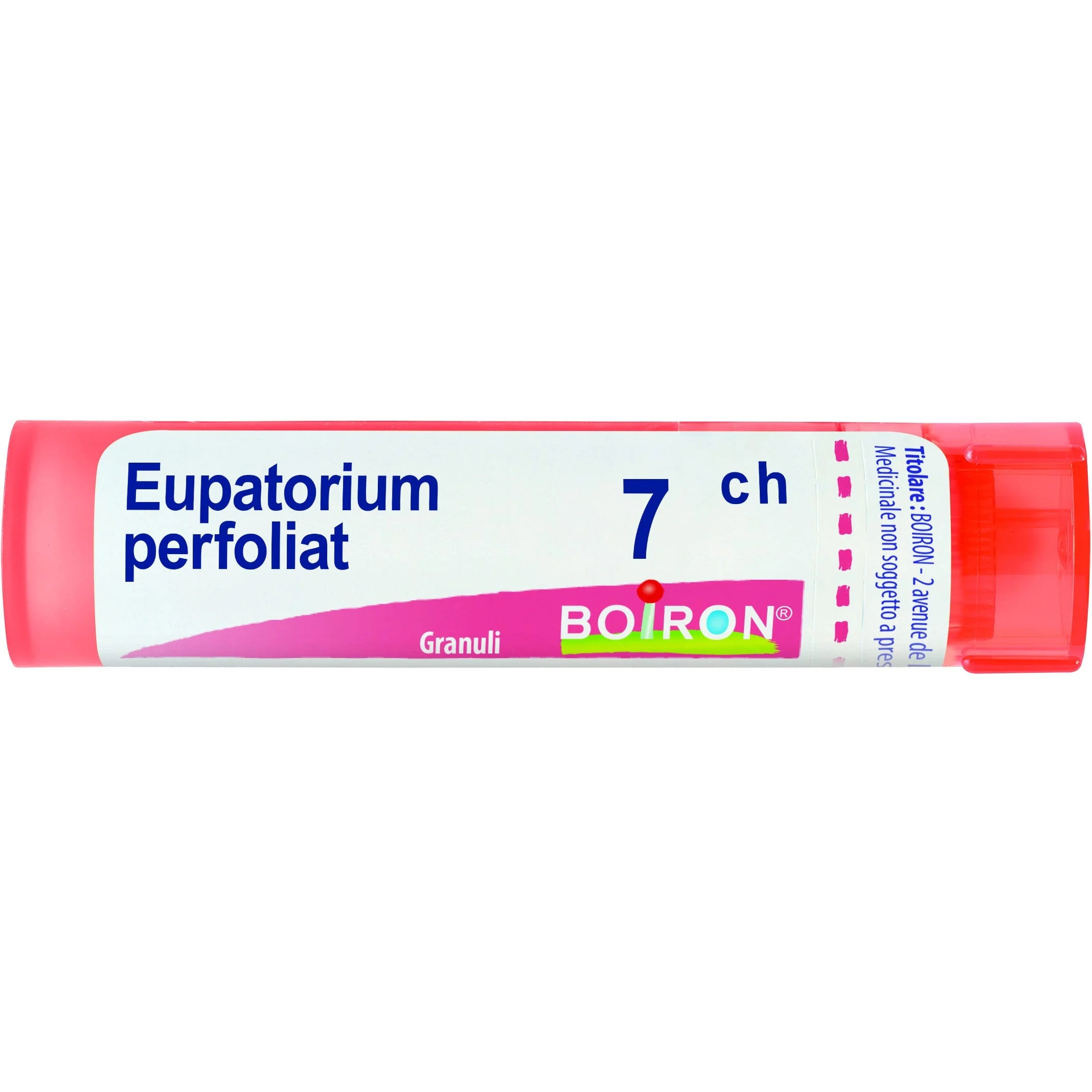 BOIRON Eupatorium Perfoliatum 7 Ch 80 Granulat