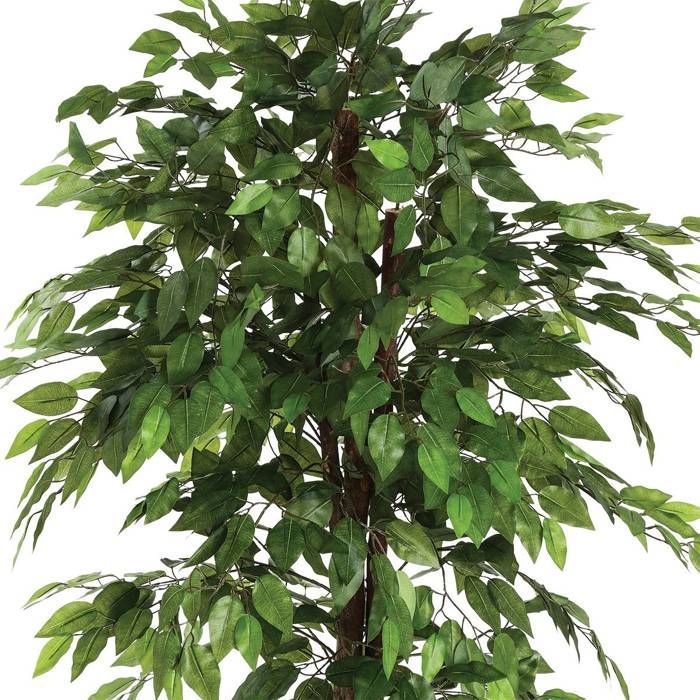 Ficus artificial 