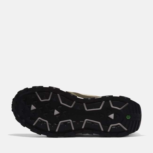 Sneaker Winsor Park da Uomo in verde (scuro)