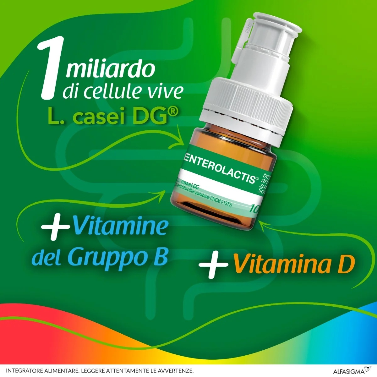 ENTEROLACTIS Enterolactis Bebida infantil 12 garrafas x 10 ml Suplemento alimentar com fermentos lácteos