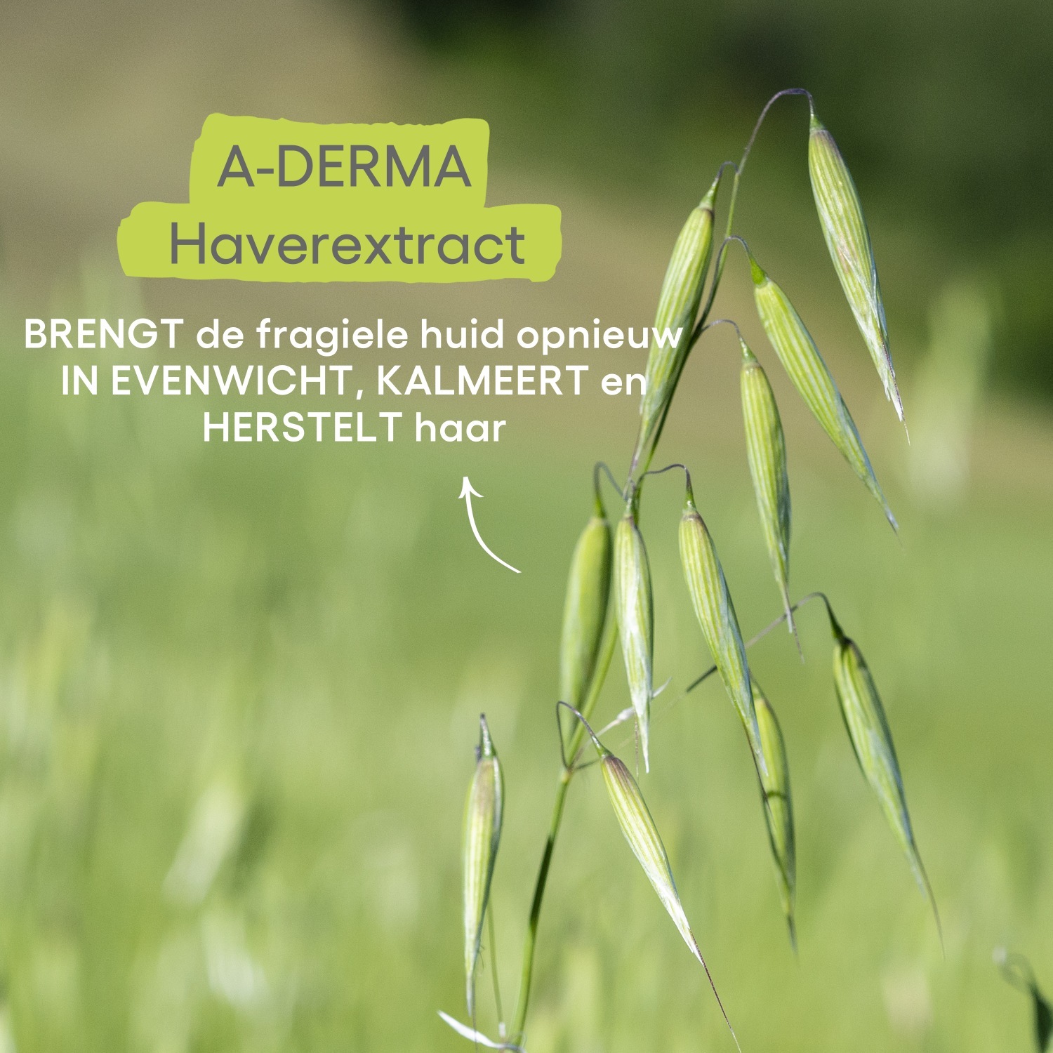 A-DERMA Körperseife, dermatologische Reinigungsseife – 100 ml