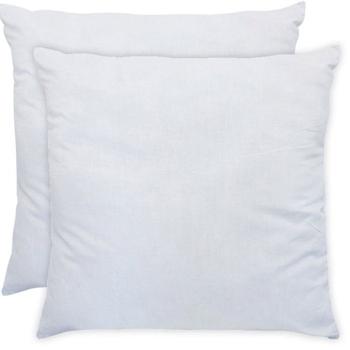 Set di 2 cuscini imbottiti in acqua bollente - 60 x 60 cm - Morbidi - BLUE CALIN - Bianco