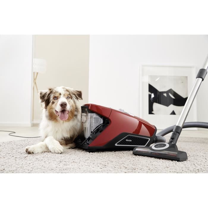 MIELE Blizzard CX1 Cat&Dog PowerLine Rouge - Aspirateur Sans Sac