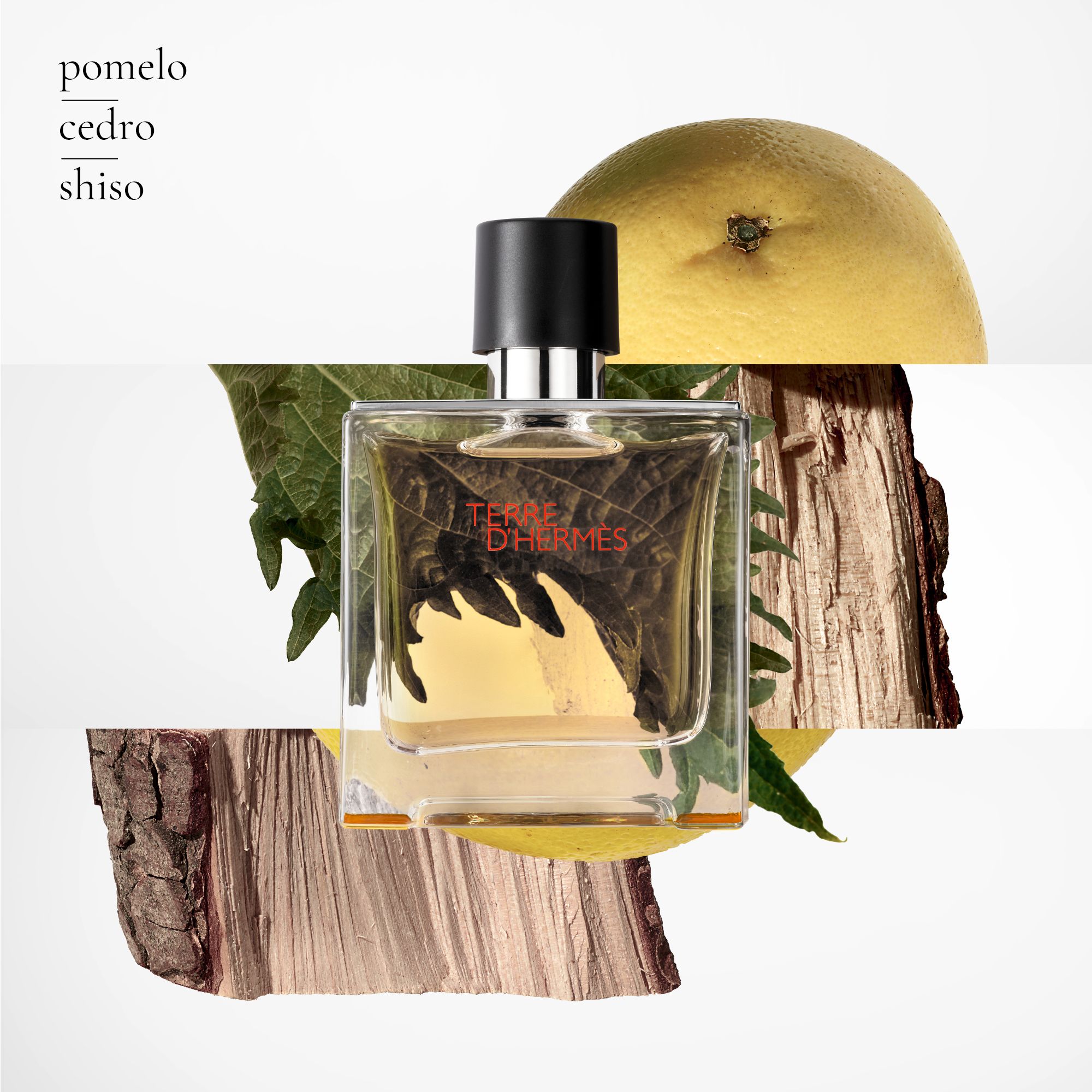 Terre d'Hermès Parfum Parfemi za muškarce