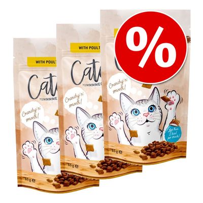 Catessy Snack Croccanti - Confezione Risparmio 3 x 65 g