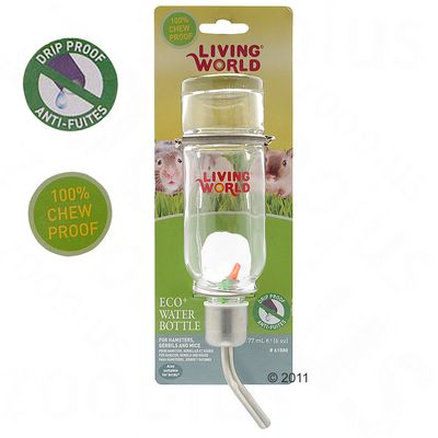 Living World Glaswasserflasche