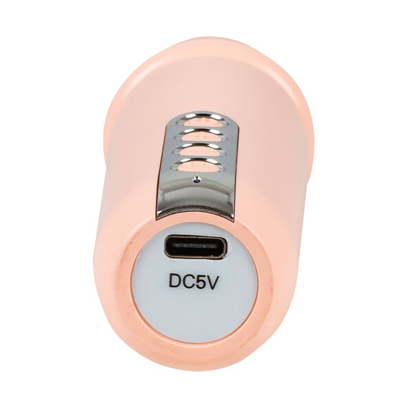 Karaoke-Speaker KKS-2M Kids, rose