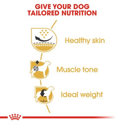 Royal Canin Pug Ενηλίκων