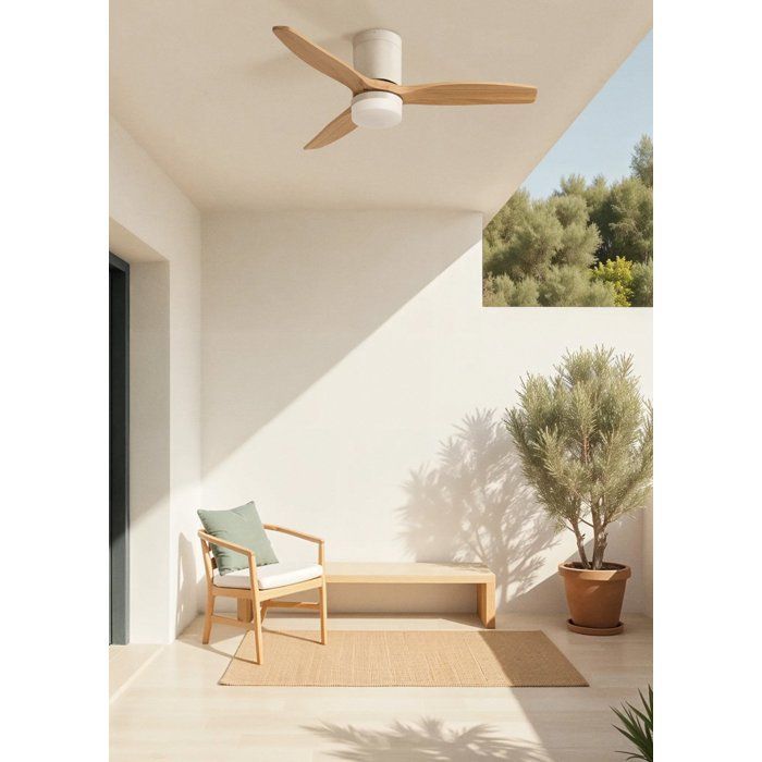 Ventilador de techo - Diseño - Con luz - Silencioso - Función verano/invierno - Control remoto
