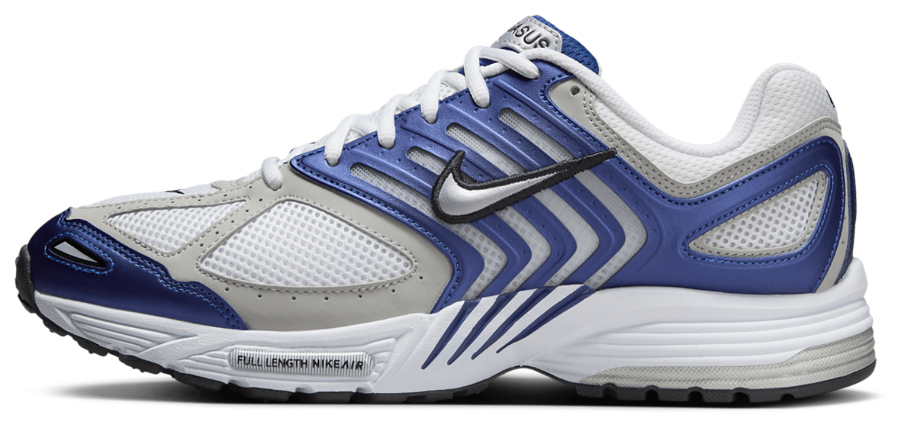 Nike Air Pegasus 2005