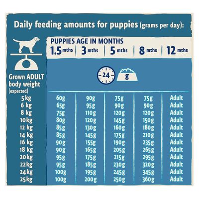 PURINA BETA Puppy Indyk i jagnięcina
