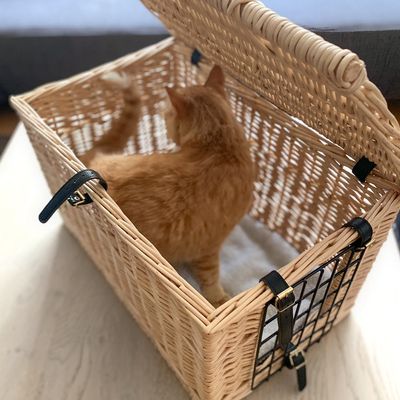 Aumüller Wiklinowy kosz dla kota