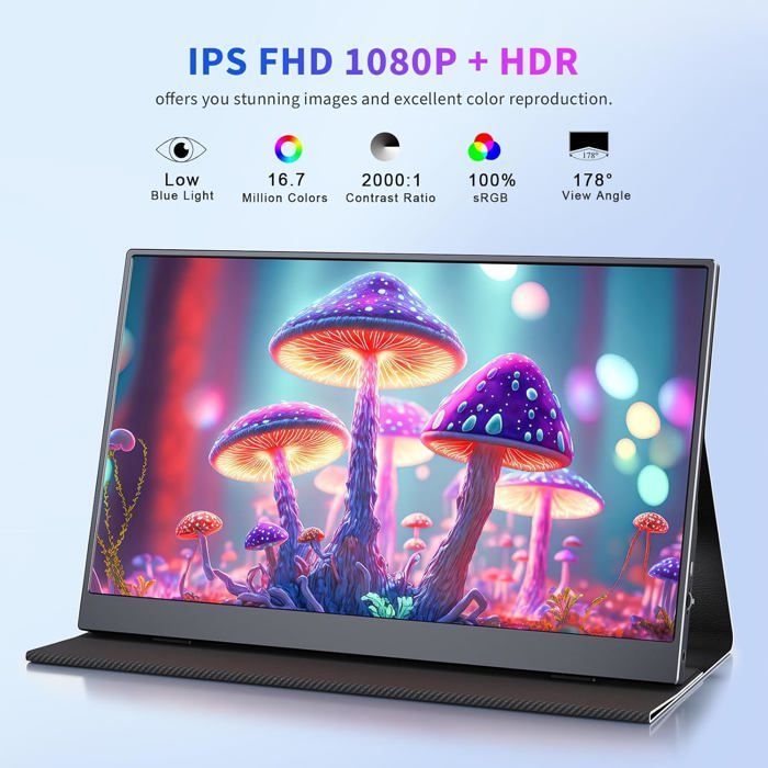 Écran Portable - MOMODS - 156DM2 - 15.6 Pouces - IPS - 1080P FHD