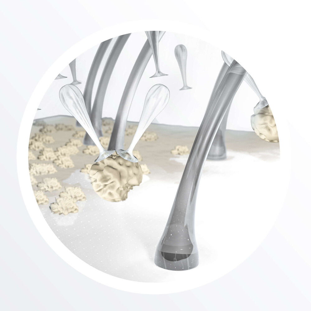 Nioxin sustav 5