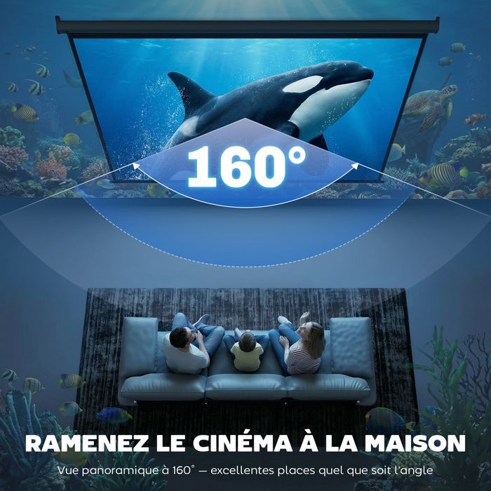 Écran de Projection 120