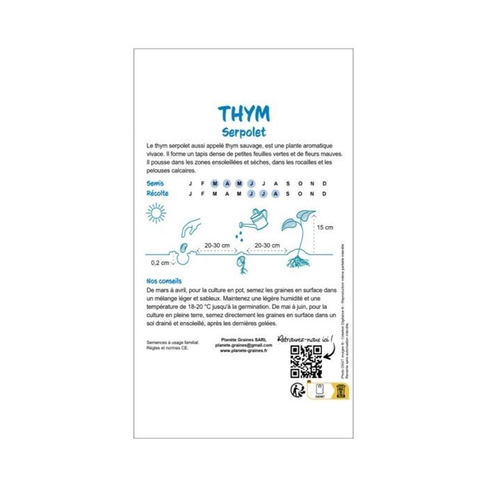 500 Graines de Thym Serpolet - Alternative au Gazon : Remplace la Pelouse - Couvre-sol Aromatique et Mellifère