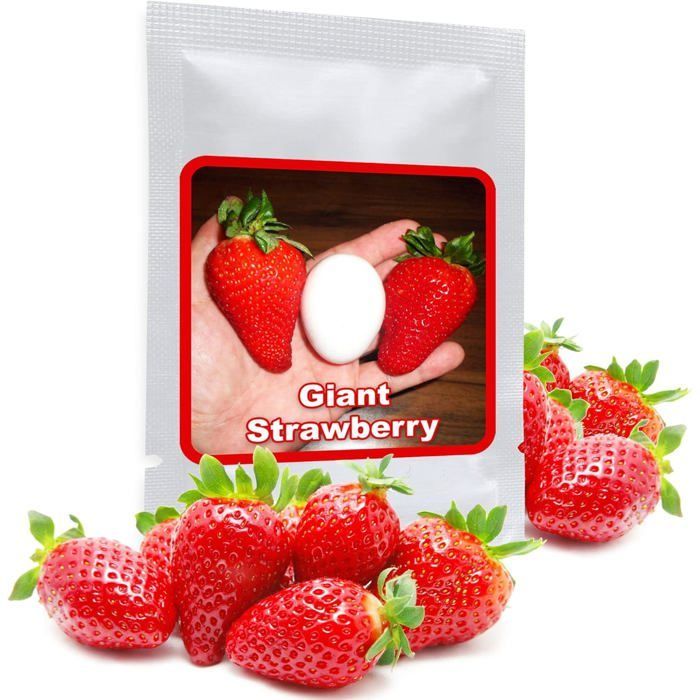 Semi di Fragola Gigante / Fragaria Ananassa / Circa 100 semi