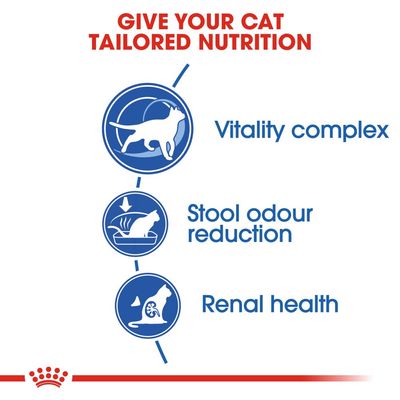 Royal Canin Innendørs 7+