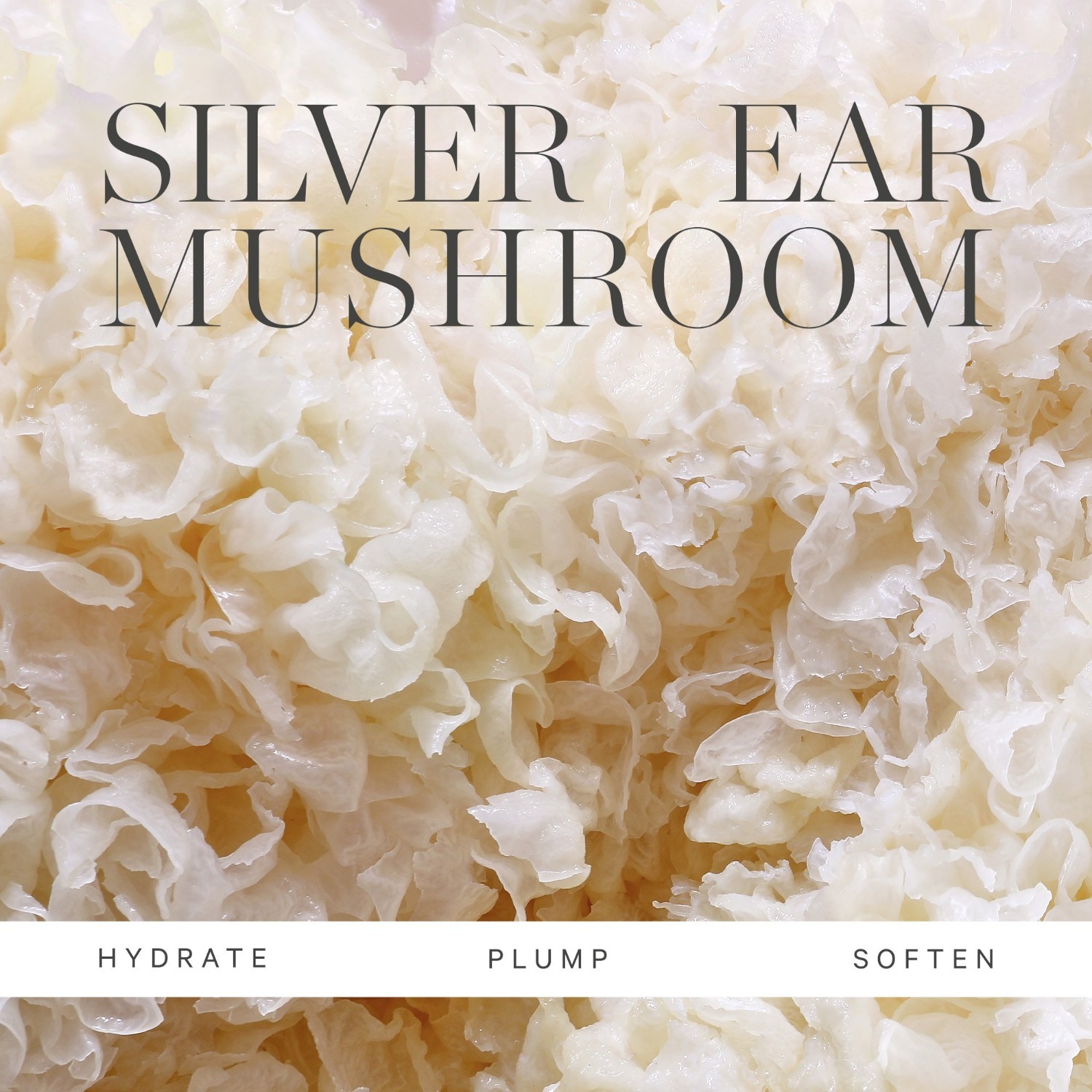 KORA Organics Gel za prhanje, Obnovitveni gel za roke in telo – 300 ml