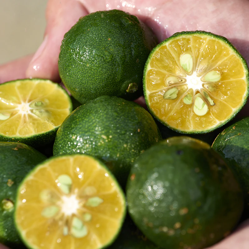 Gel facial de limpeza Shiseido Waso Shikulime