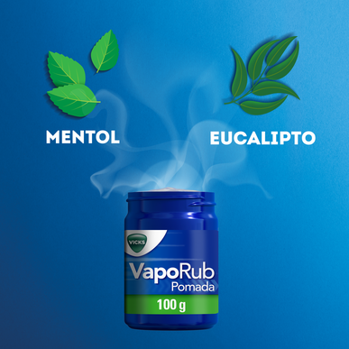 Vicks  Vicks Vaporub Pomada Gripes e Constipações      100 gr 100 gr