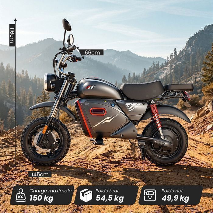 Bicicleta eléctrica SD-V9-15