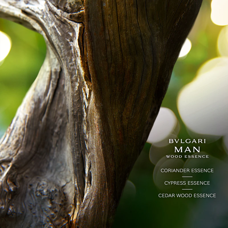 BVLGARI Bvlgari Man Wood Essence Eau de Parfum plniteľný flakón pre mužov