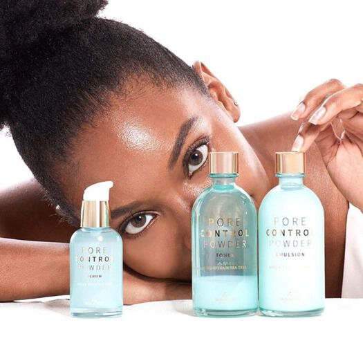 The Skin House Pore Control Pulver