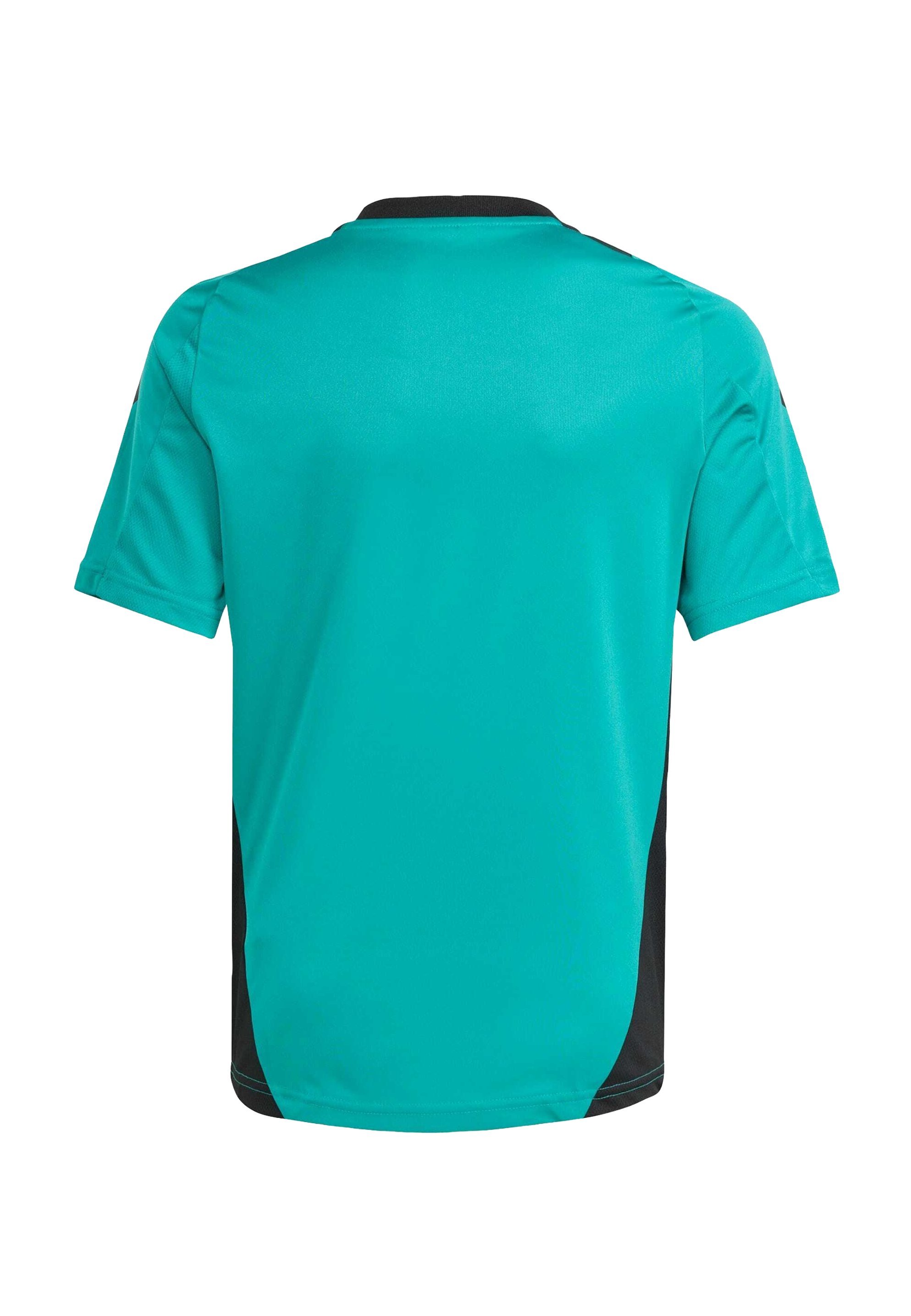 adidas Performance Print T-Shirt – reines Türkis