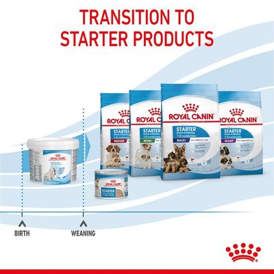 Leite Royal Canin Babydog