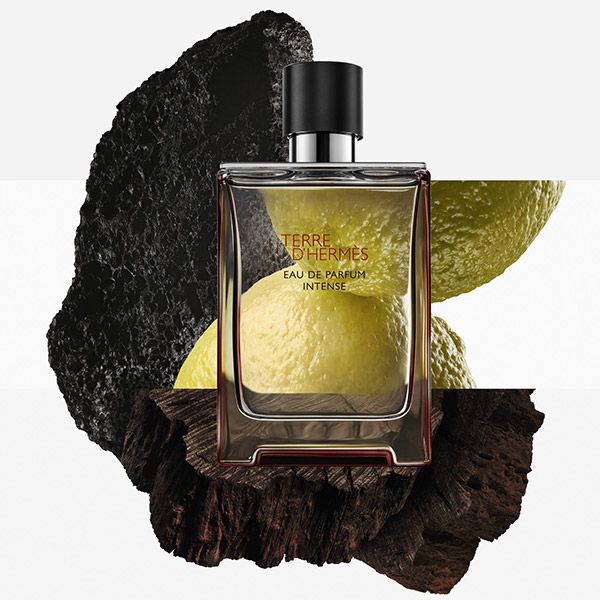 Terre d'Hermès Men Eau de Parfum Intense Muški parfemi
