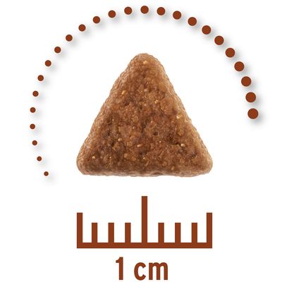 Concetto per la vita Dieta veterinaria gastrointestinale