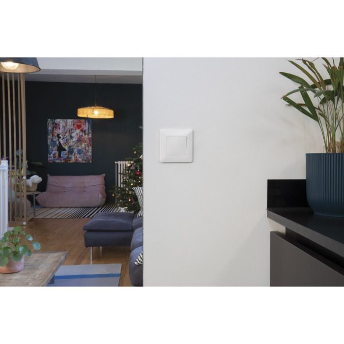 Interruttore bidirezionale bianco - Artezo - Zenitech