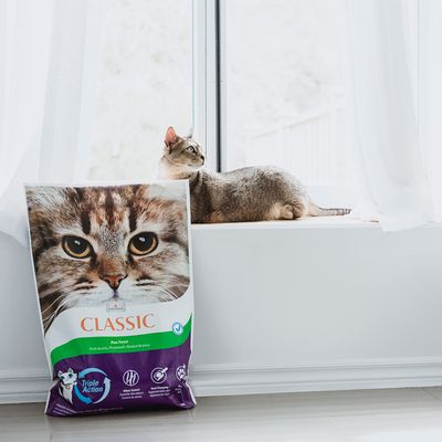 Intersand Classic Katzenstreu mit Kiefernwaldduft