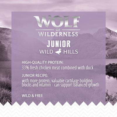 Lobo de la naturaleza joven 'Wild Hills' - Pato
