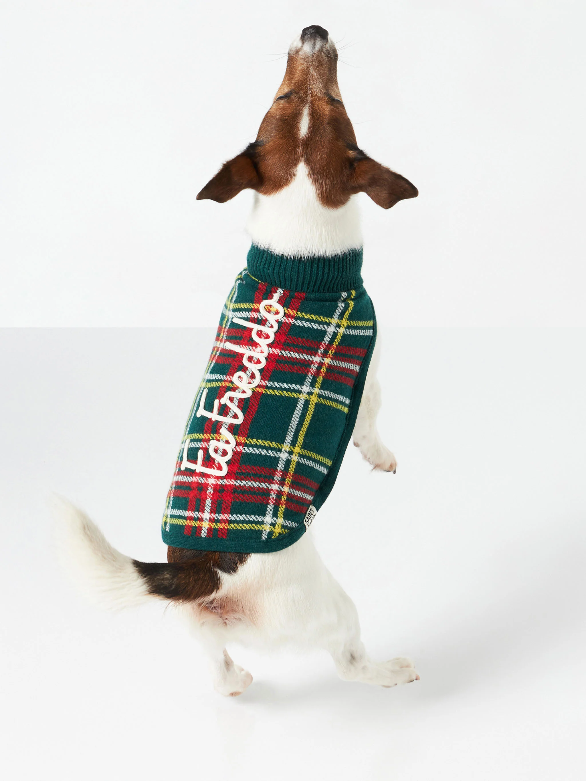 Trui voor honden met Schotse ruitprint