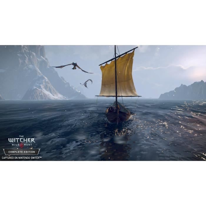 The Witcher 3 : Wild Hunt Jeu Switch