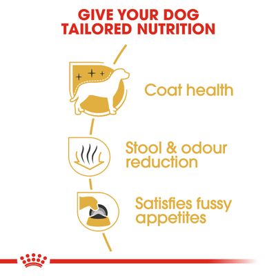 Royal Canin Maltézské krmivo pro dospělé