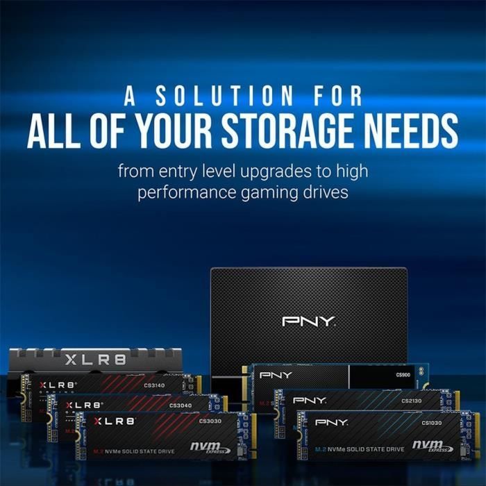 PNY – CS1030 – SSD – 500 GB – M.2 2280 – M280CS1030-500-RB