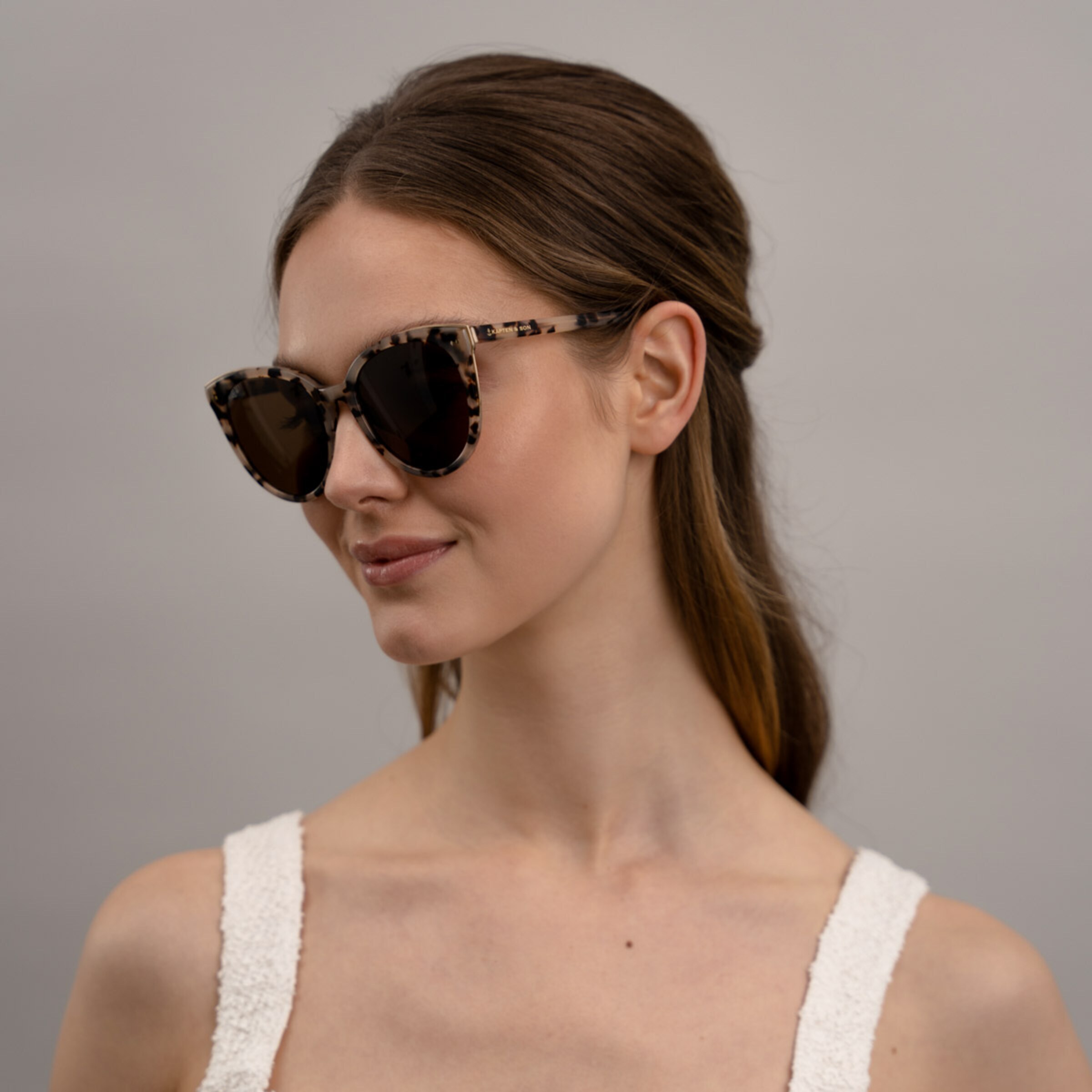 Tortue des sables de Manhattan brune