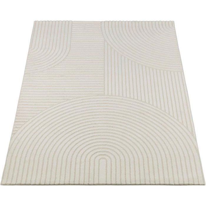 Tapis Moderne - THE CARPET - Everest 2252 - 160x230 cm - Effet 3D - Design Scandinave