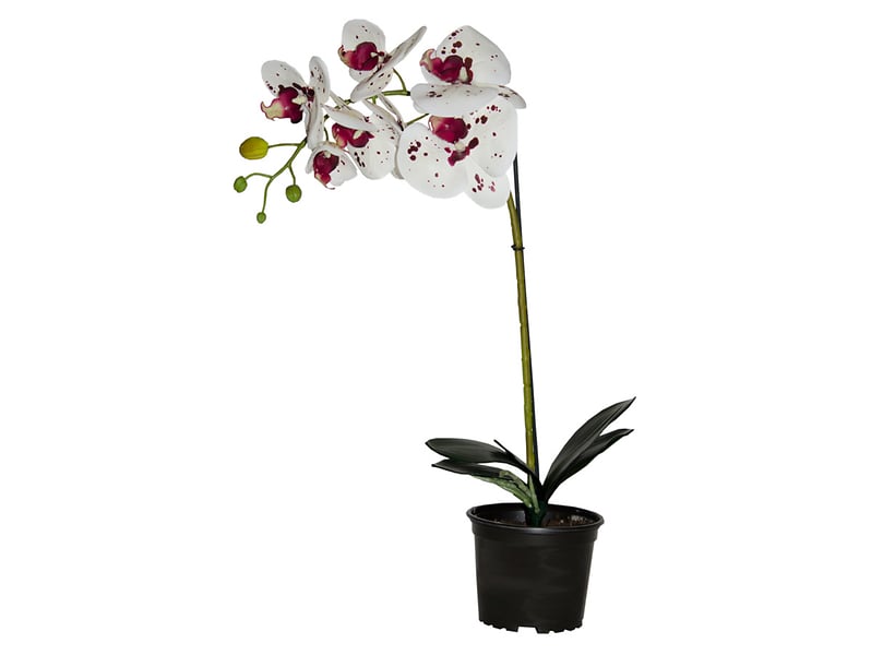 Sztuczny storczyk Premium w doniczce 70 cm mix kolorów