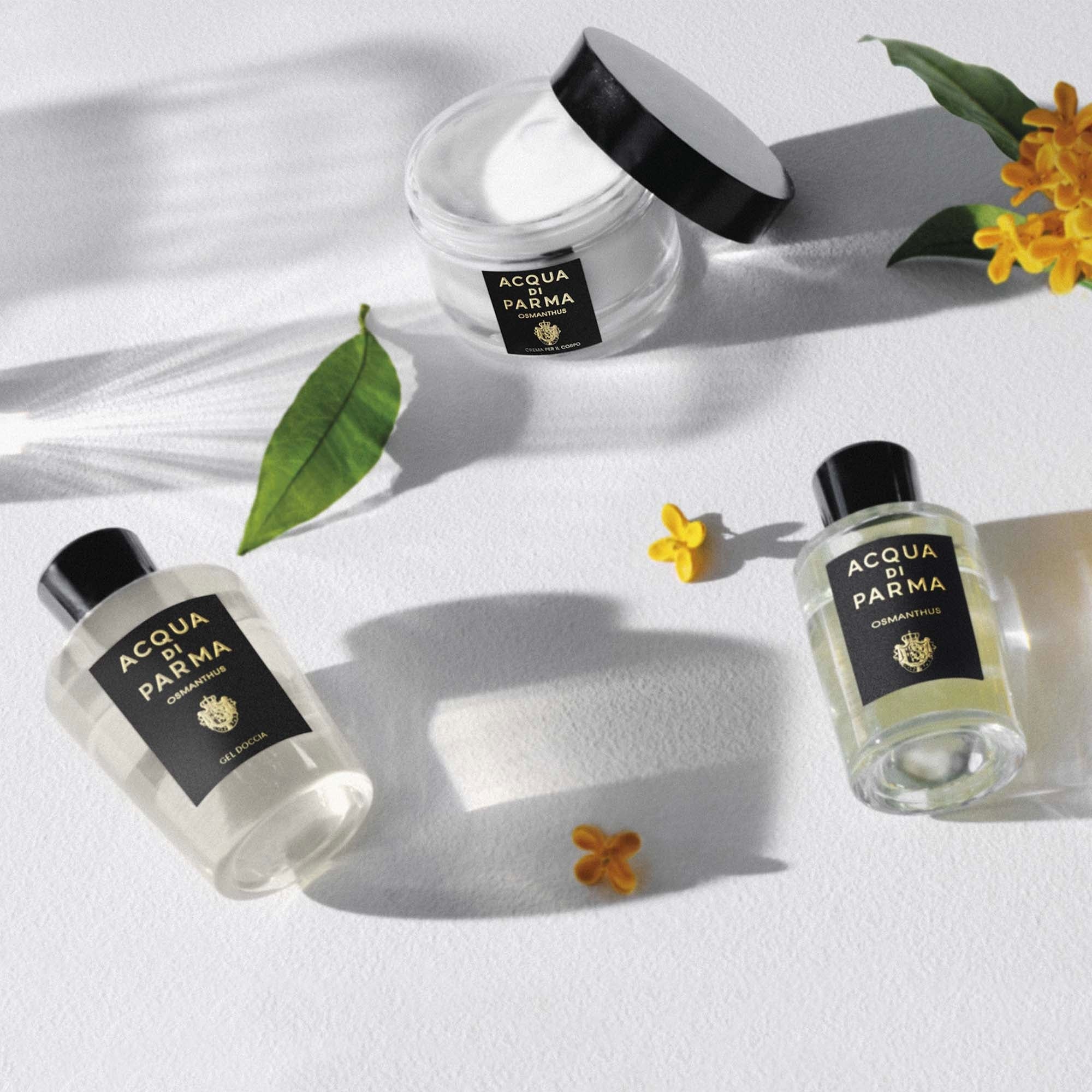 Signatures of the Sun Osmanthus Crema per il Corpo - Crema Corpo
