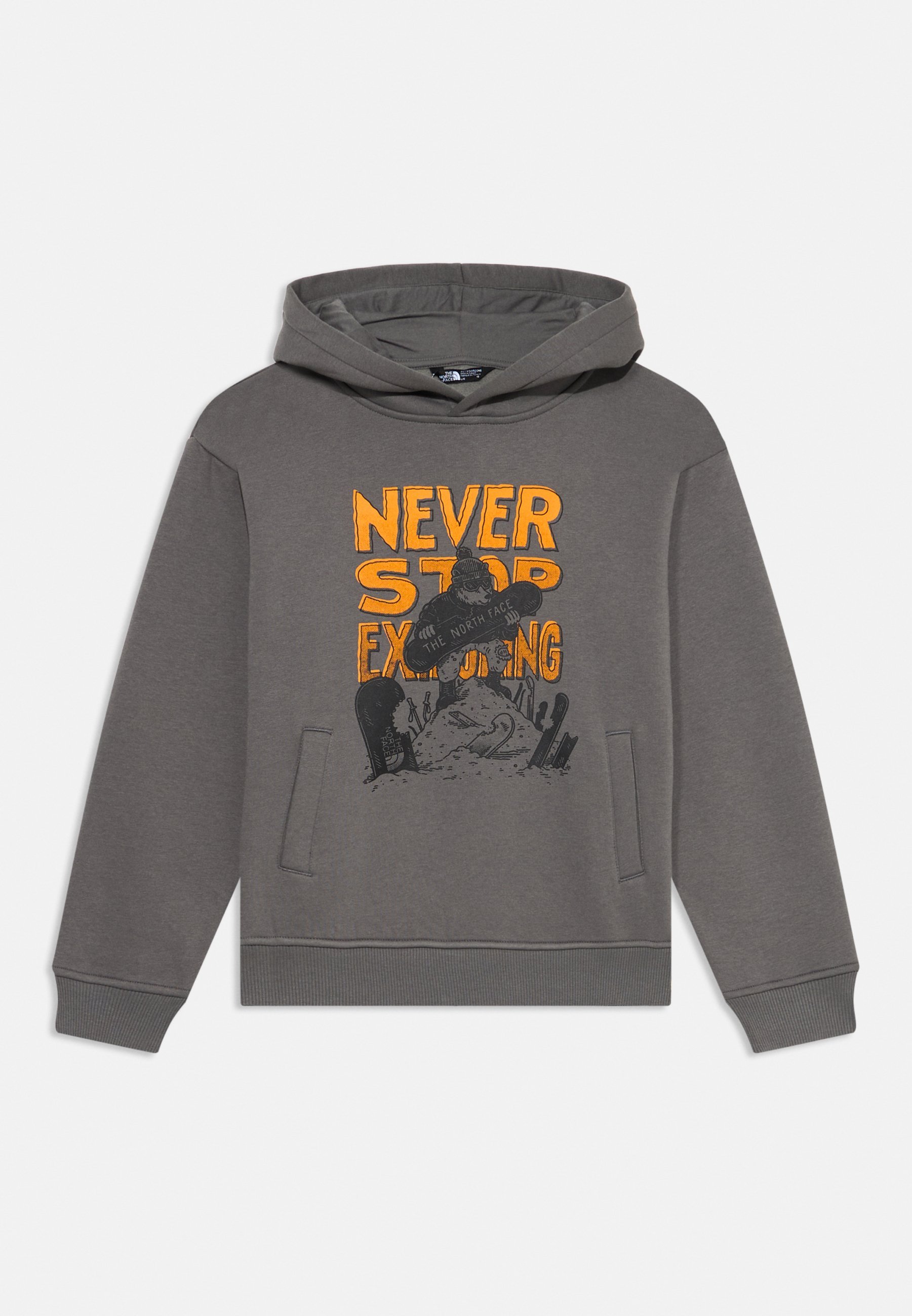 The North Face Oversized Hoodie mit Grafik, Unisex - Hoodie - Smoked Pearl