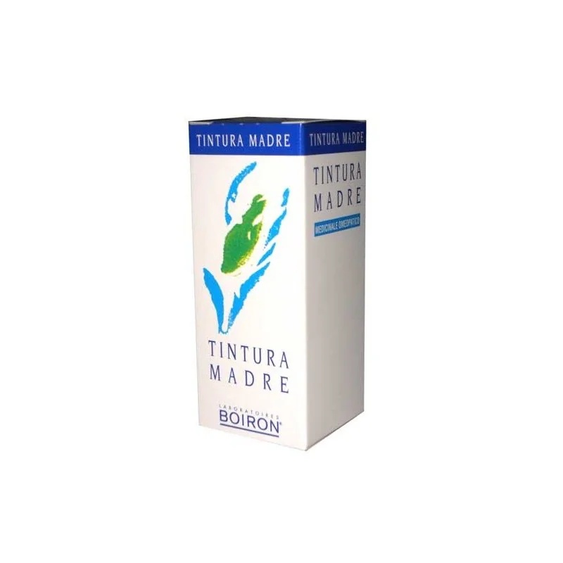 CEMON Equisetum Arvense Teinture Mère 30 ml