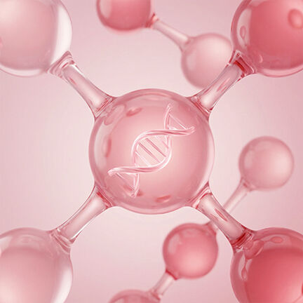 Nacomi Salmon DNA Key – Reparierendes Bi-Phasen-Serum