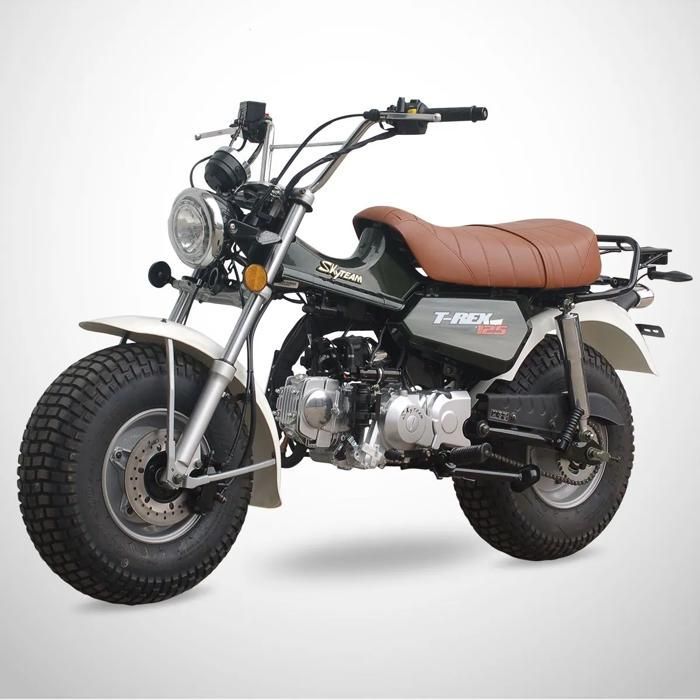 Mini Moto T-REX 125 SKYTEAM / Vert