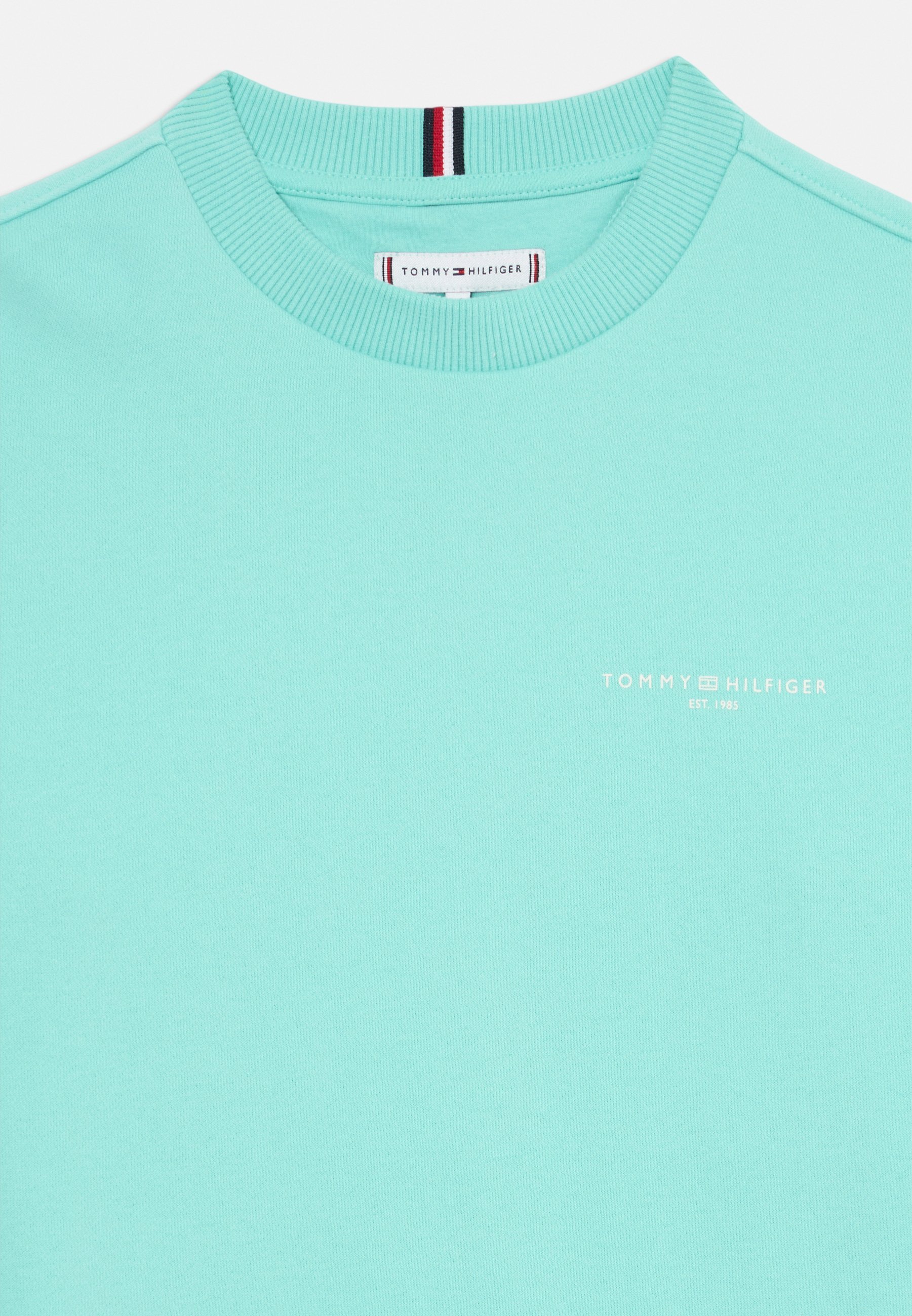 Tommy Hilfiger MINI CORP UNISEX - Felpa - mentolo
